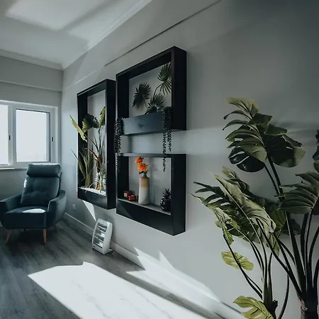 Apartament Gt Apartment, Mountain View And Sea View Ponta Delgada